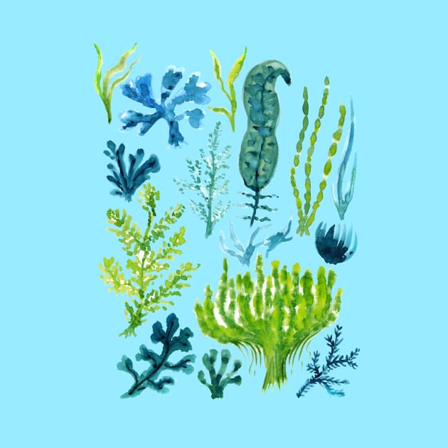 Sea Weeds by SWON Design