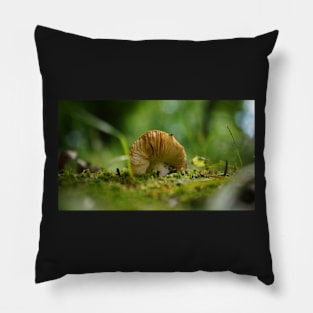 Mushroom Belly in the Green Moss Pillow