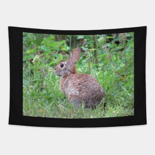 Mr. Rabbit Tapestry