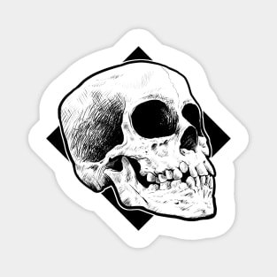 Skull line drawing Magnet