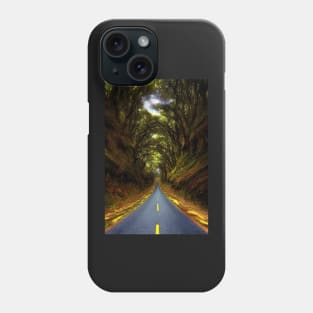 Autumn Road Phone Case