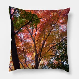 Indian Summer Pillow