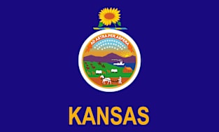 Flag - Kansas wo Txt Magnet