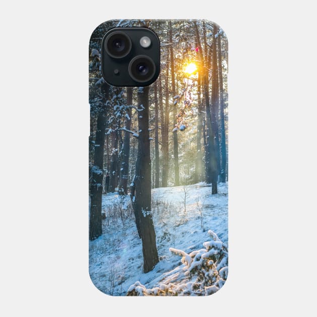 Winter landscape with snow-covered spruce forest. Phone Case by Olga Berlet