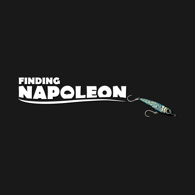 Finding Napoleon by Art by Paul