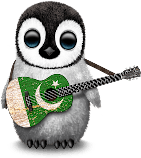 Baby Penguin Playing Pakistani Flag Guitar Magnet