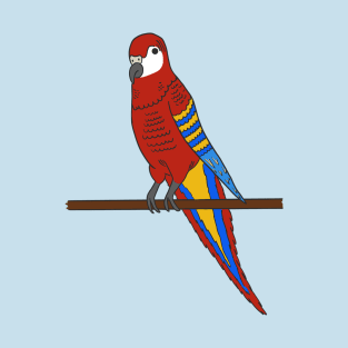 Parrot T-Shirt