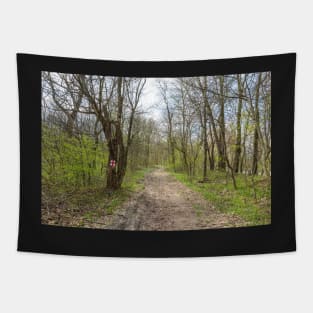 Hiking trail in the forest Tapestry