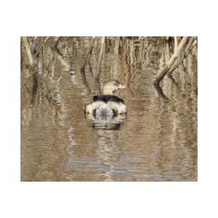 Pied-billed grebe, wild birds, wildlife, gifts T-Shirt