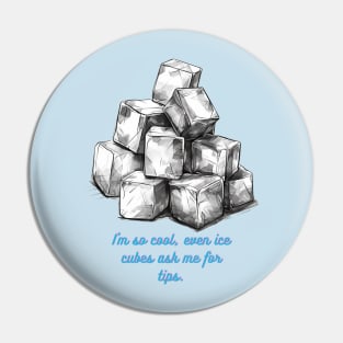 I'm so cool, even ice cubes ask me for tips. Pin
