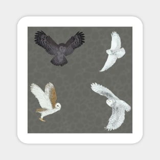 Soaring Owls Grey Magnet