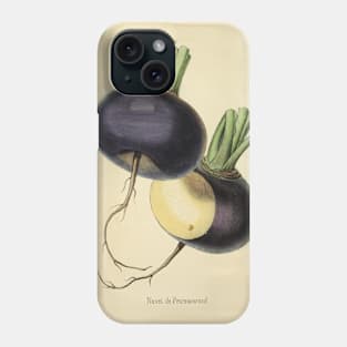 Vintage Petrosov Wood Turnip Horticultural review (1850) Phone Case