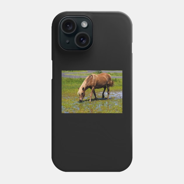 Assateague Pony Lunching on Watercress Salad Phone Case by Swartwout