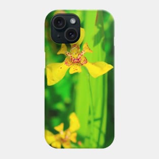 Yellow lily blossom on green background Phone Case