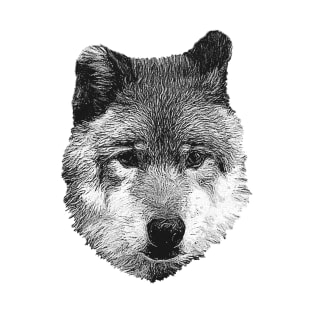 Wolf portrait T-Shirt