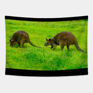 The Two Swamp Wallabies Tapestry