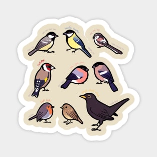 Garden Birds of Britain Magnet