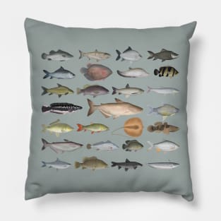 Southeast Asia Freshwater Fish Group Pillow