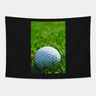 Golf Ball in Grass Tapestry