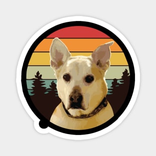 SHIBA MIX DOG FOREST RETRO PINES SUNSET Magnet