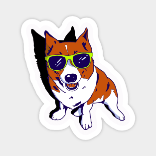 Dog Wears His Sunglasses Magnet