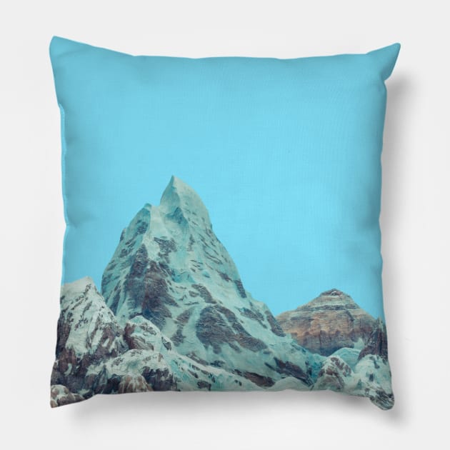 Expedition Florida Pillow by Enzwell