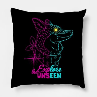 Explore The Unseen Pillow