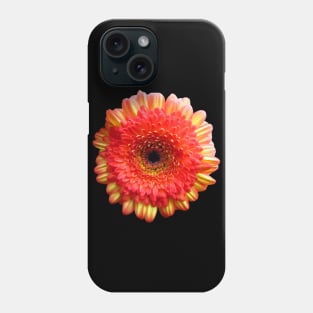 orange flower, marigold, aster, bloom, petal, garden Phone Case