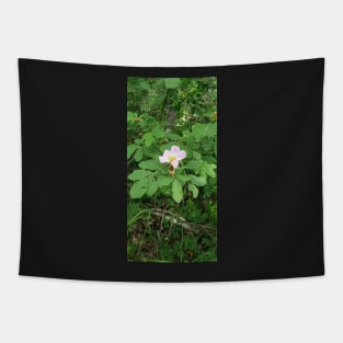 Wild Rose Tapestry