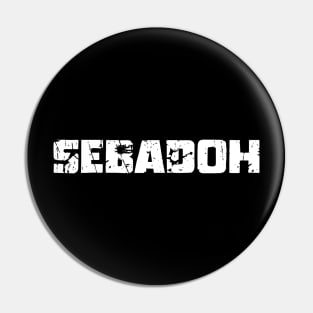 SEBADOH Pin