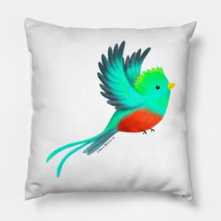 Quetzal bird Pillow