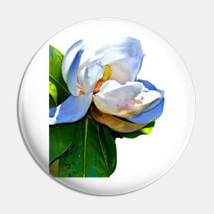 Magnolia Pin