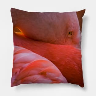 Flamingo Pillow