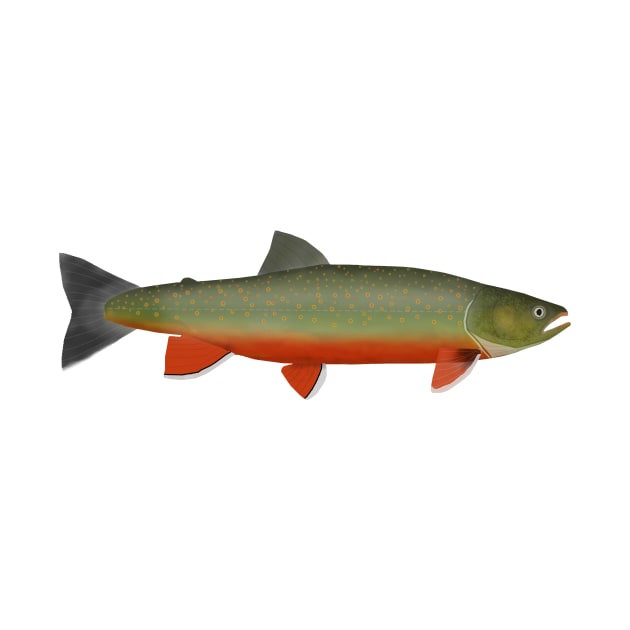 Dolly Varden Trout by FishFolkArt