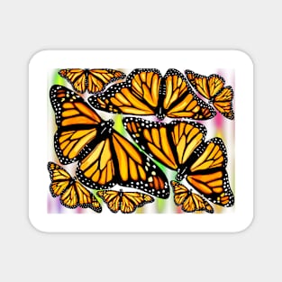 Monarch Butterflies on Starburst Background Magnet