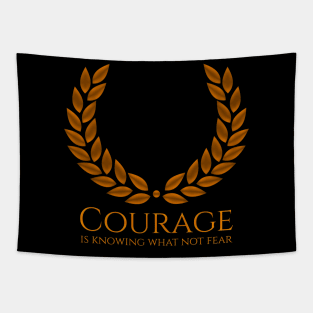 Courage is knowing what not to fear - Plato Tapestry