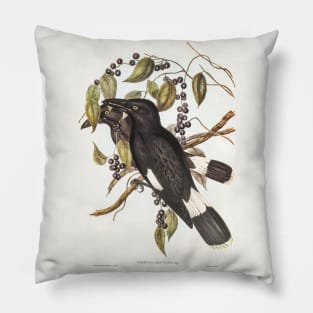 Great Crow-Shrike Pillow