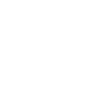 Hamilton Magnet