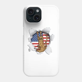 Funny Cat American Flag Cat Lover Gifts Phone Case