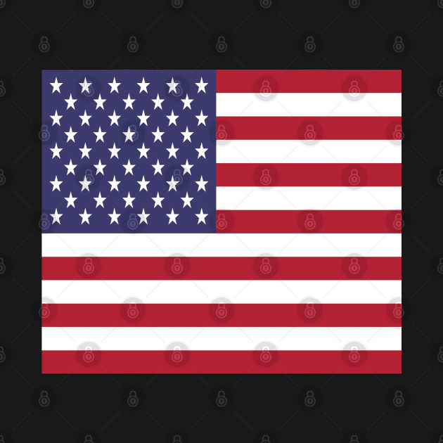 Stars and Stripes - Flag of the USA - 4th of July edition by SolarCross