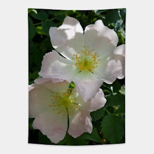 Wild Rose Tapestry