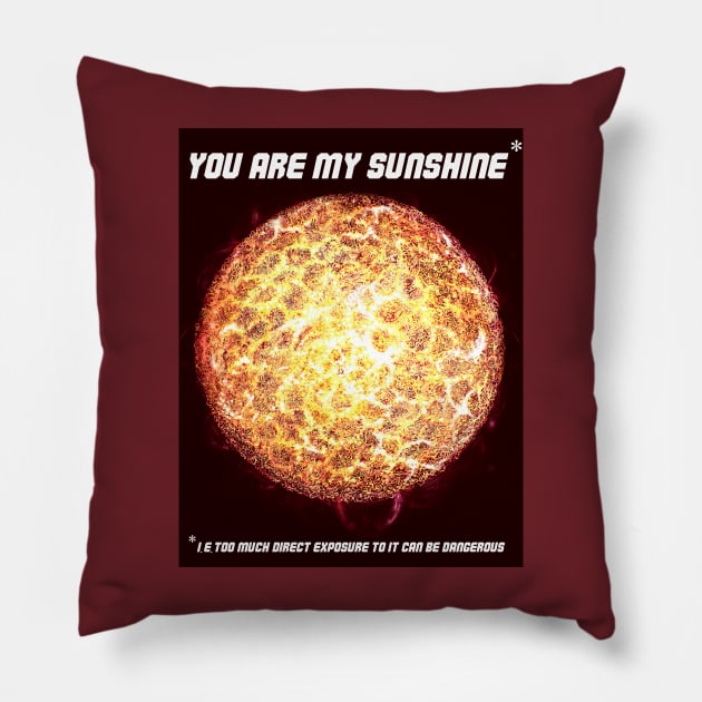 You are my Sunshine joke Pillow by SPACE ART & NATURE SHIRTS 