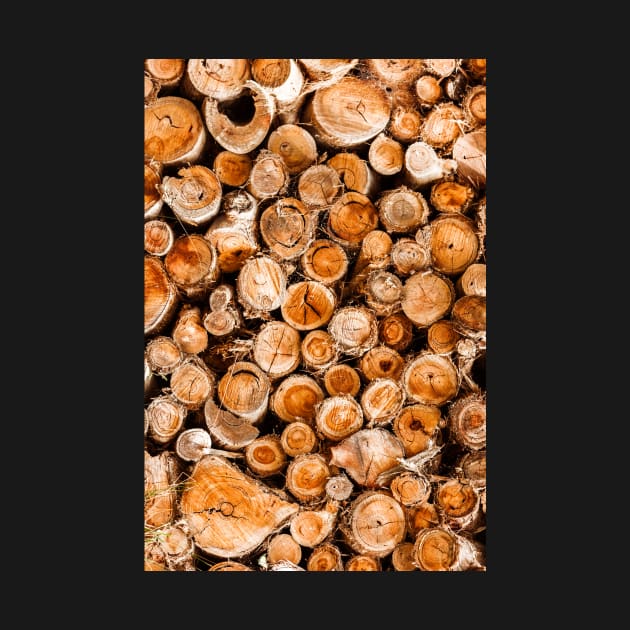 Wood Logs Stacked High & Dry by textural