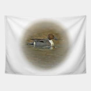 Northern pintail Tapestry