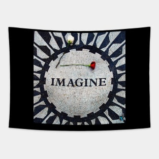 IMAGINE Tapestry