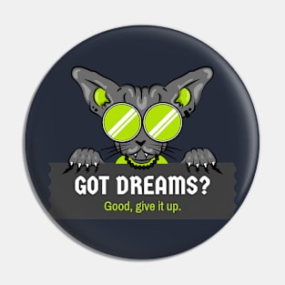 Got Dreams? Pin