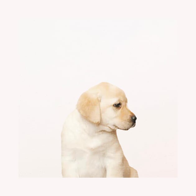 Labby the Labrador Dog by Vin Zzep