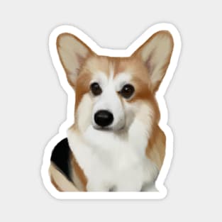 Cute Corgi Drawing Magnet