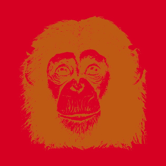 Orange Chimp face by ToddPierce