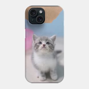 the little cute cats Phone Case